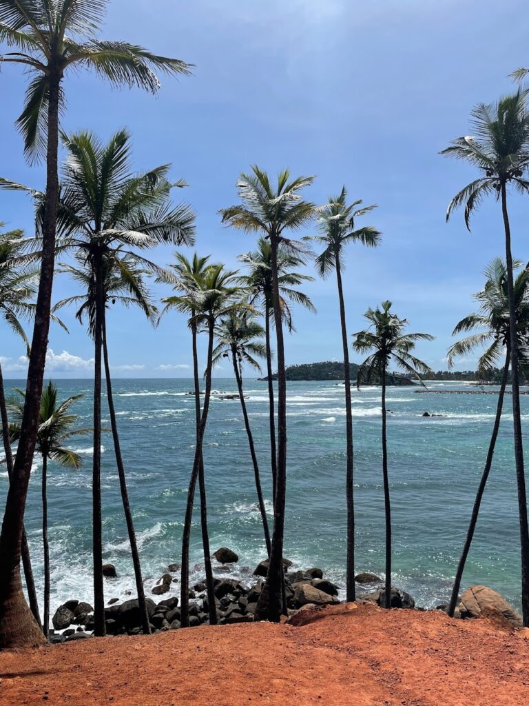 coconut tree hill mirissa